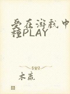 受在游戏中被各种PLAY