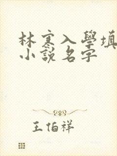 林寒入学填未婚小说名字