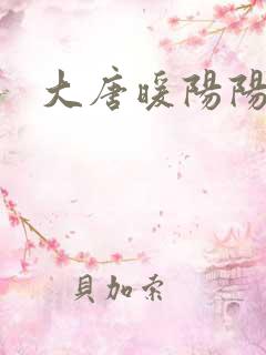 大唐暖阳阳
