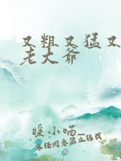 又粗又猛又大爽老大爷