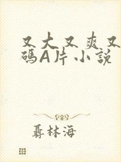 又大又爽又黄无码A片小说