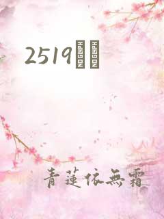 2519С˵