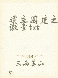 遗忘国度之神秘徽章txt