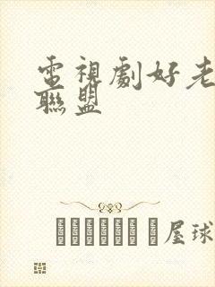 电视剧好老婆大联盟