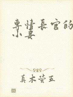 专情长官的天价小妻