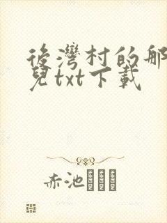 后湾村的那些事儿txt下载