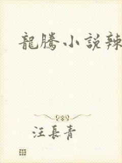 龙腾小说辣文网