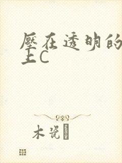 压在透明的玻璃上C