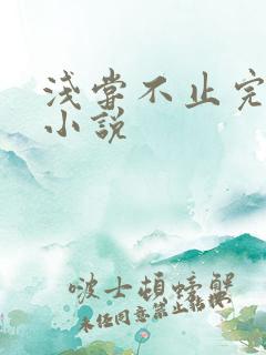 浅尝不止完整版小说