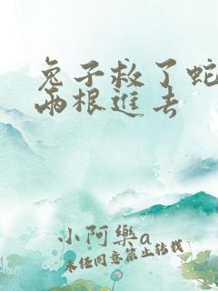 兔子救了蛇被蛇两根进去