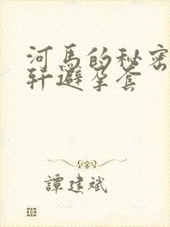 河马的秘密河文轩避孕套