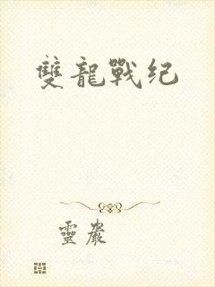双龙战纪