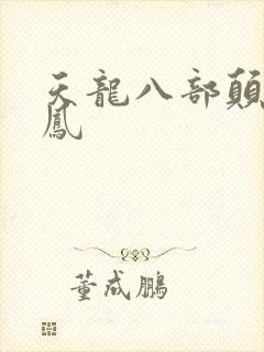 天龙八部颠龙鸾凤