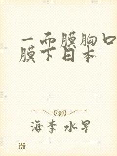 一面膜胸口一面膜下日本