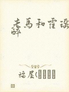 老马和霍瑶瑶喝醉