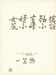 女婿有劲枪枪到底小峰小说