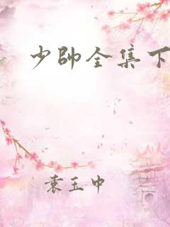 少帅全集下载