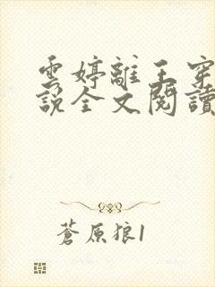 云婷离王穿越小说全文阅读