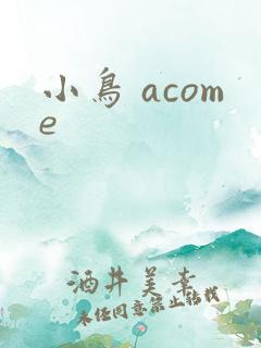 小鸟 acome