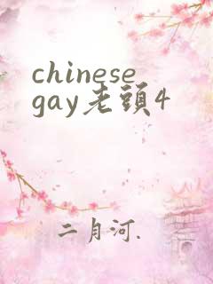 chinesegay老头4