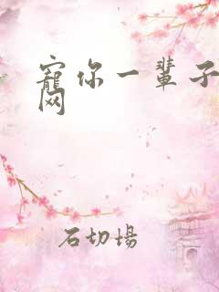 宠你一辈子书包网