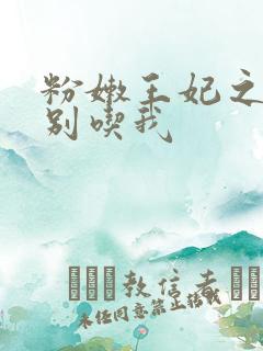 粉嫩王妃之殿下别吃我