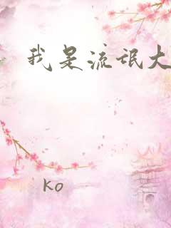 我是流氓大律师