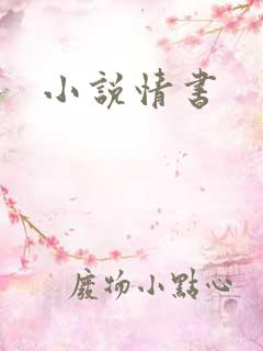 小说情书