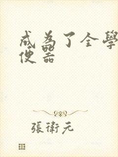 成为了全学校坐便器