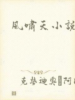 风啸天小说