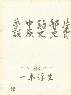 梦中的那片海小说原文免费阅读