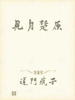 见月楚原