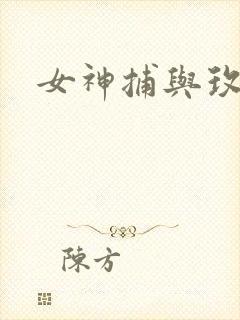 女神捕与玫瑰刀