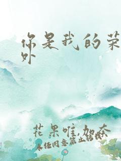 你是我的荣耀番外