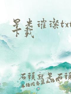 星光璀璨txt下载