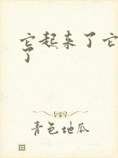 它起来了它想你了