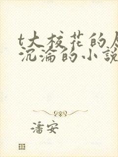 t大校花的屈辱沉沦的小说