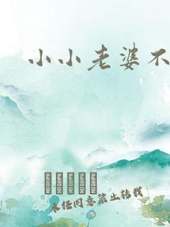 小小老婆不受宠