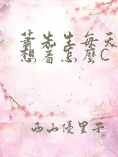 萧先生每天都在想着怎么C