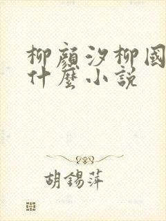 柳颜汐柳国安是什么小说