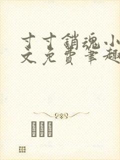 寸寸销魂小说全文免费笔趣阁