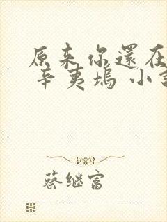 原来你还在这里 辛夷坞 小说