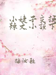 小婕子交换系列辣文小说下载