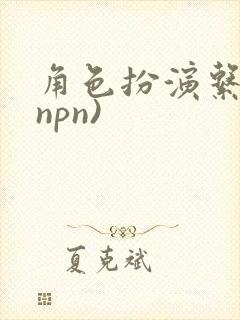 角色扮演系统(npn)