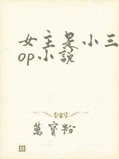 女主是小三的pop小说