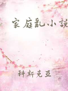 家庭乱小说