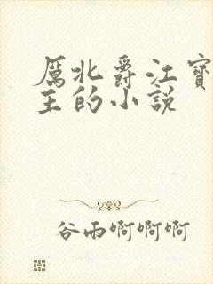 厉北爵江宝宝男主的小说