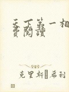 天下第一相书免费阅读