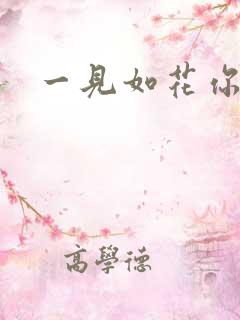 一见如花你就笑