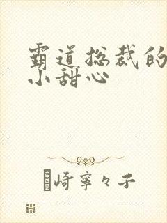 霸道总裁的宠爱小甜心